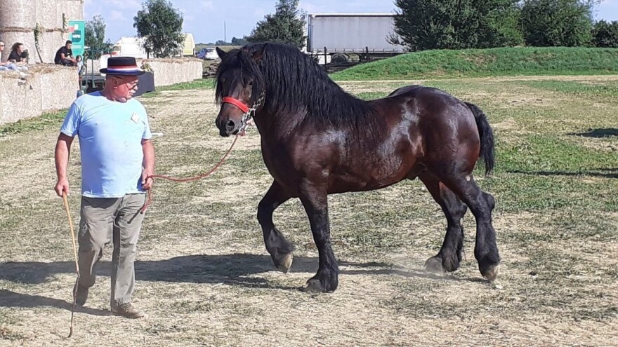 Miroslav Caren: Nakon pobjede u Gudovcu nude preko 5.000 eura za Patrika, ali nema tih novaca