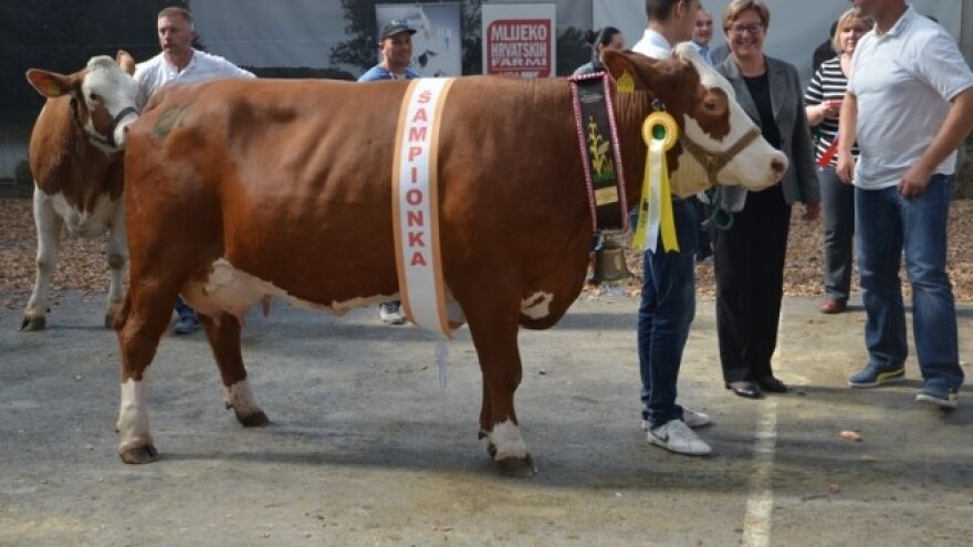 Održana 23. Državna stočarska izložba