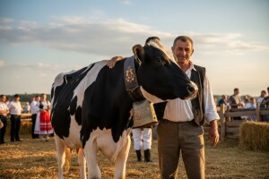 Šampionsko zvono osvojila krava Šara iz Obrta Nena