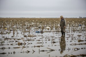 Sanacija štete od poplava u poljoprivredi
