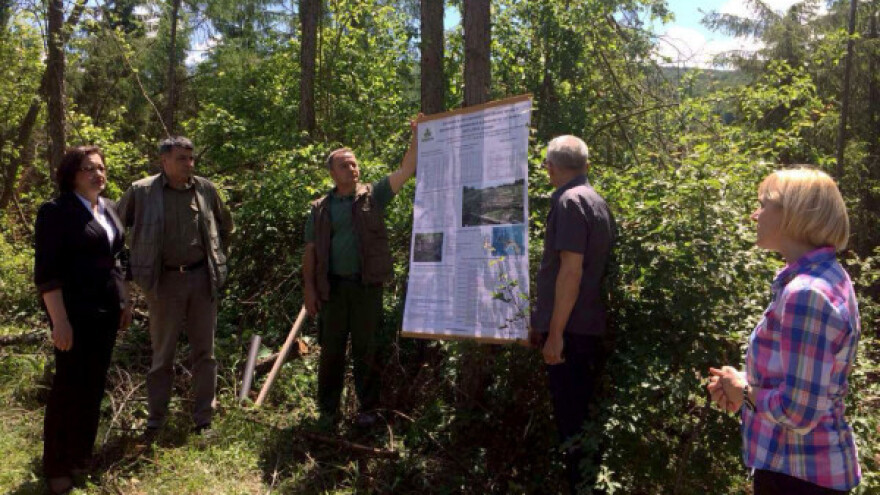 64 miliona dinara za sanaciju šuma