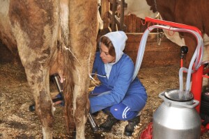 Erići su znali kako da ostvare svoj san i uživaju u njemu