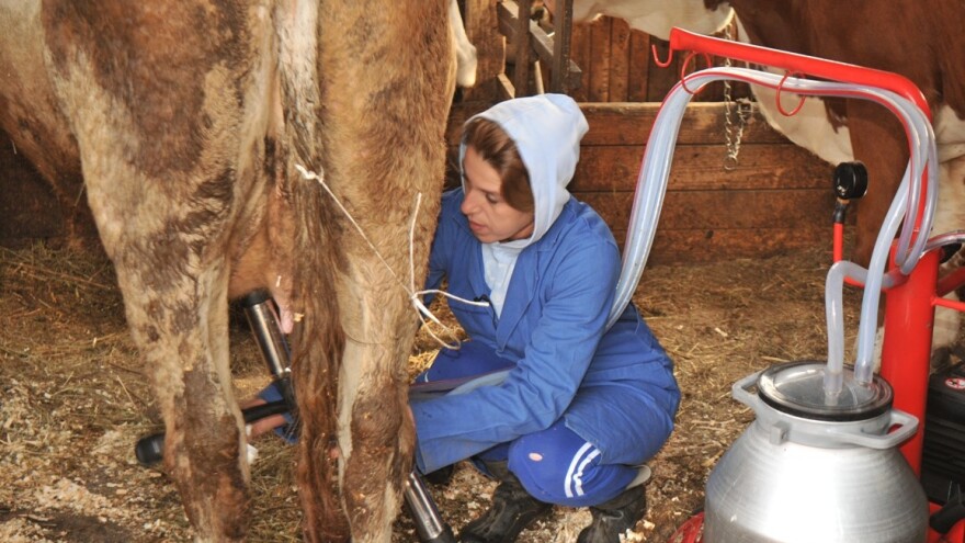 Erići su znali kako da ostvare svoj san i uživaju u njemu