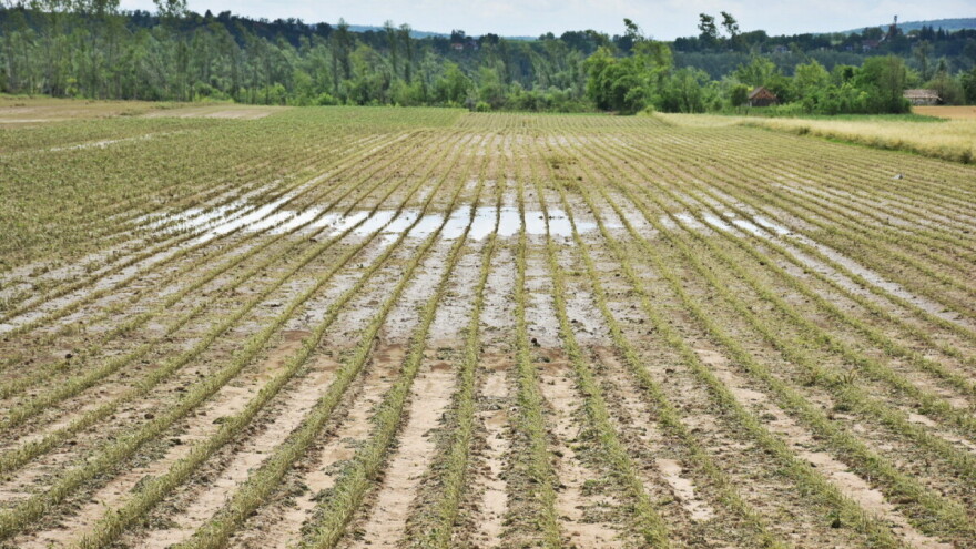 Posle oluje u Bačkoj Palanci - da li će poljoprivrednici dobiti odštetu ili opet samo zapisnik?