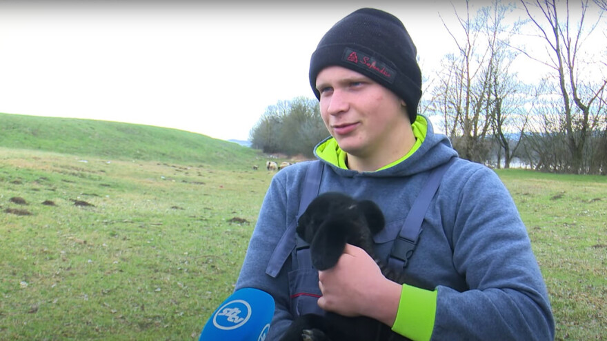 Paška je itekako poznata, no što je sa slavonskom janjetinom?