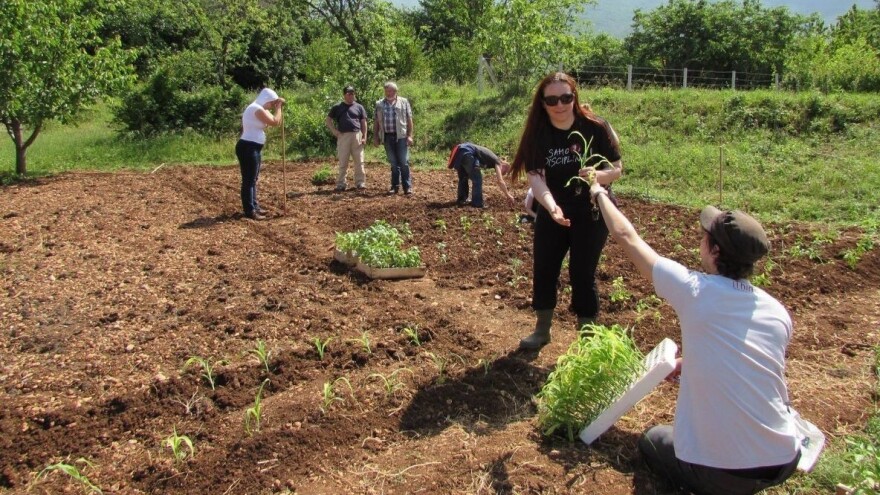 Uz permakulturu i sklad i mir