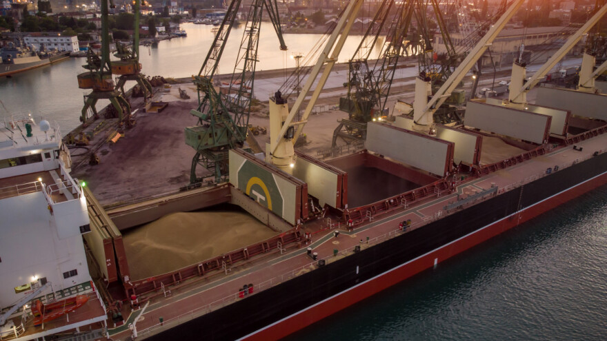 Ruska pšenica preplavljuje tržišta i ruši globalne izvozne cijene?