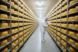 SAPARD Stroga procedura, ali se isplati