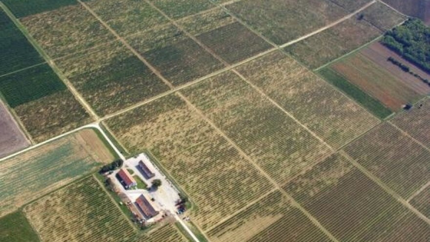 SAPARD Stroga procedura, ali se isplati