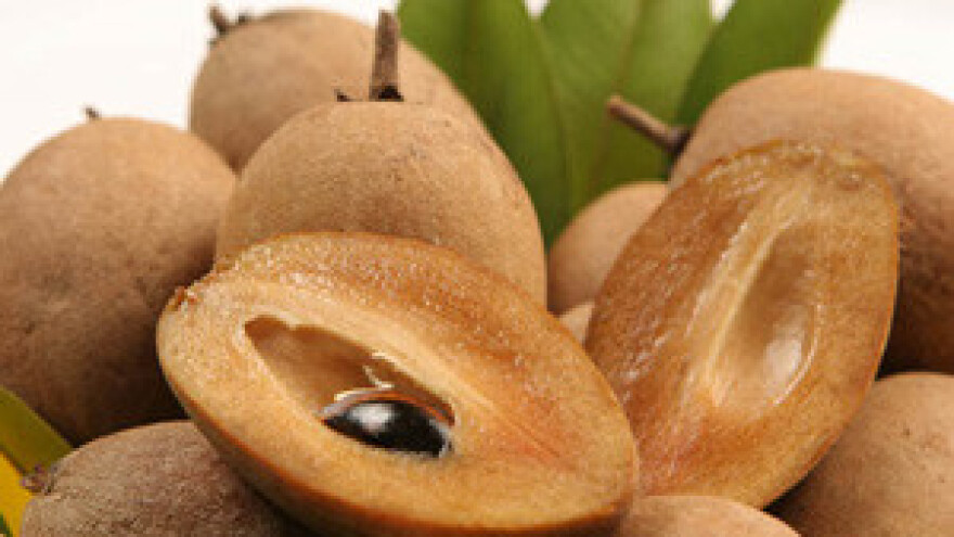 Sapodilla - energetsko voće