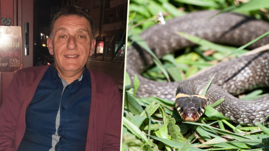 Dejan Bisenić "razgovora" sa zmijama posebnim rečima