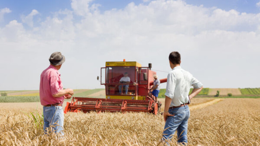 Odlična saradnja sa Mađarskom u oblasti agrara