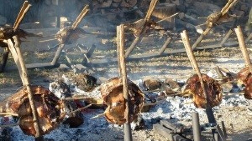 Ribarski dani u Kopačevu