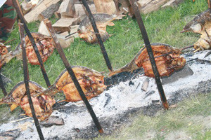 Završeni Ribarski dani u Kopačevu