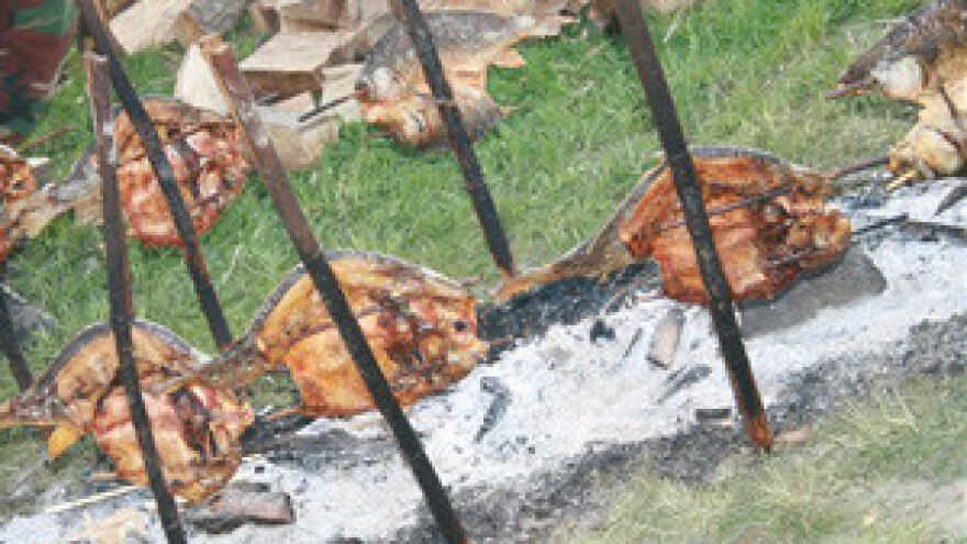 Završeni Ribarski dani u Kopačevu