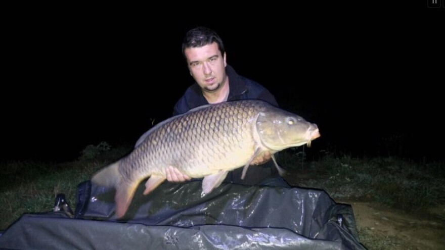 Šaran od 15 kg ulovljen na jezeru Starača