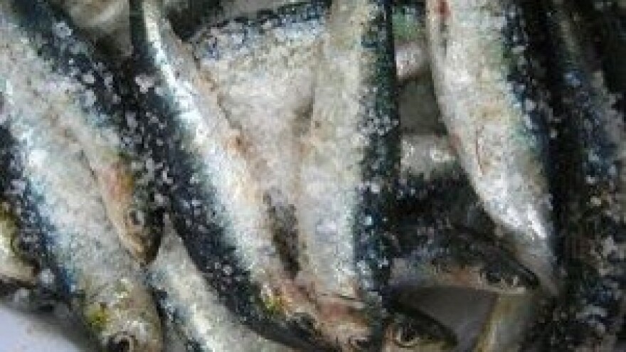 Bračke riblje konzerve osvajaju Europu