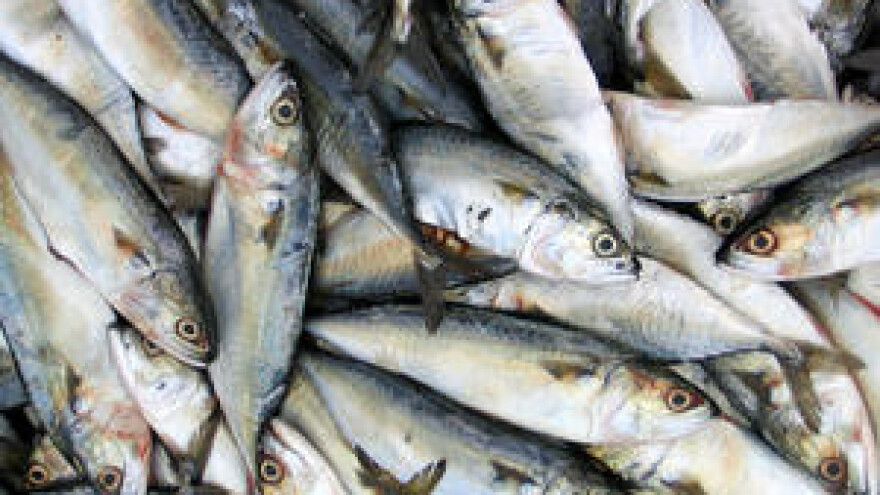 Jakovina otvara novi objekt tvrtke Sardina d.o.o.