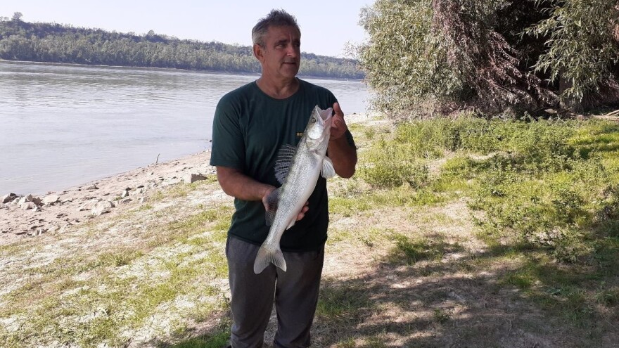 Posljednji ribar u Šarengradu čuva tradiciju ribarenja na Dunavu