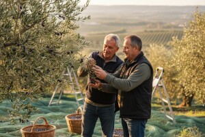 Šarići s eko uljem vodnjanske buže donose nagrade