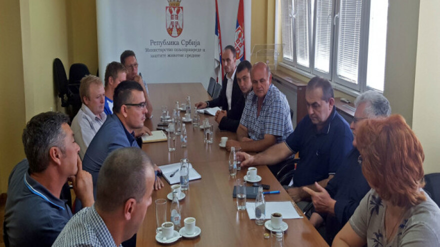 Nedimović: Nema zabrane izvoza suncokreta