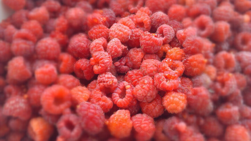 Dogovoren sastanak malinara i ministra Šemsudina Dedića