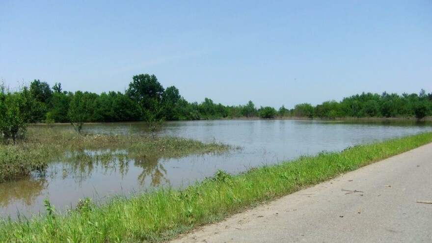 Odžačka Posavina mirna 100 godina od visokih voda rijeke Save