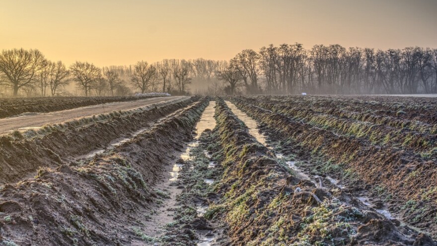 Uključite se u raspravu o Pravilniku o provedbi mjere 17