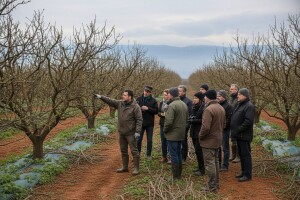 Savjetovanje hrvatskih voćara