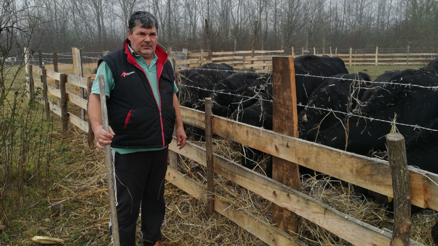 Savo Ugren: Uzgajanje angusa se dobro isplati, tržište je neograničeno
