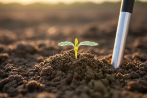 Saznajte temperature tla putem interneta