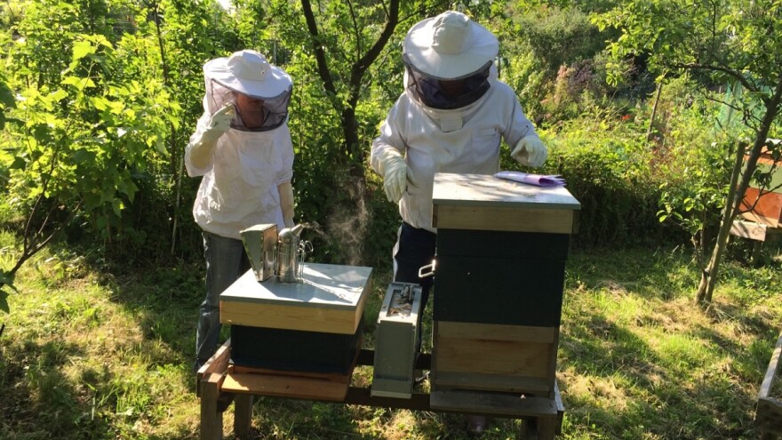 U SBK objavili program poticaja za 2018., vrijedan 1,2 miliona KM