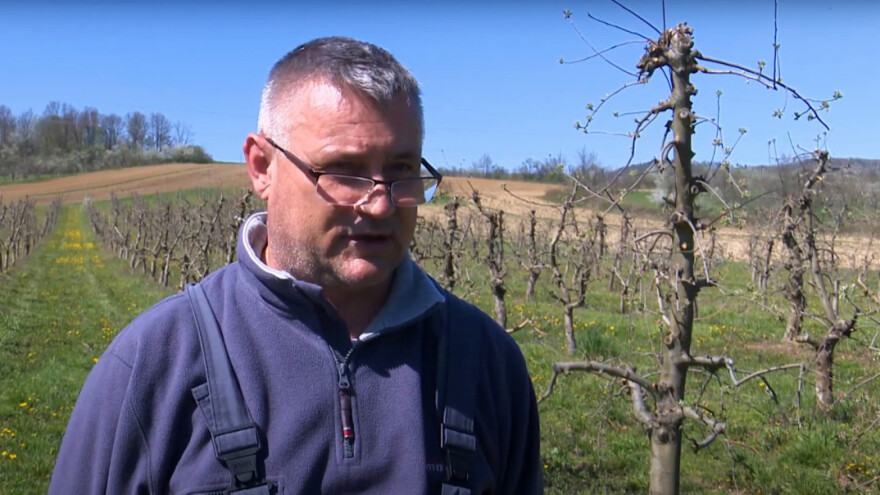 Tomislav Bašić: Veliki voćari će opstati, a mali propasti jer ne mogu pratiti tržište
