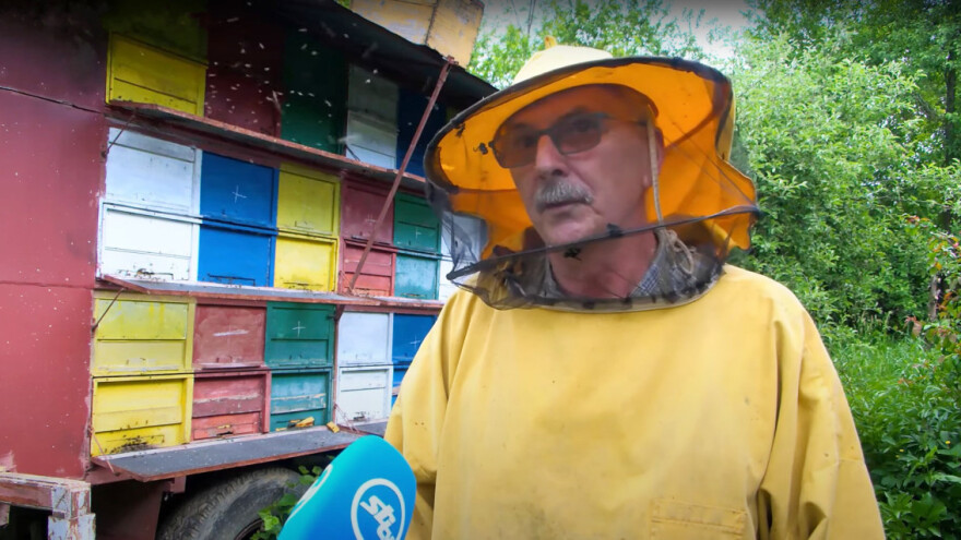 Nakon tri loše godine pčelari se nadaju dobroj bagremovoj paši