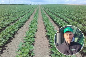 Pokusi soje: Kod Marka Botića najveći prinos 4,69 t/ha