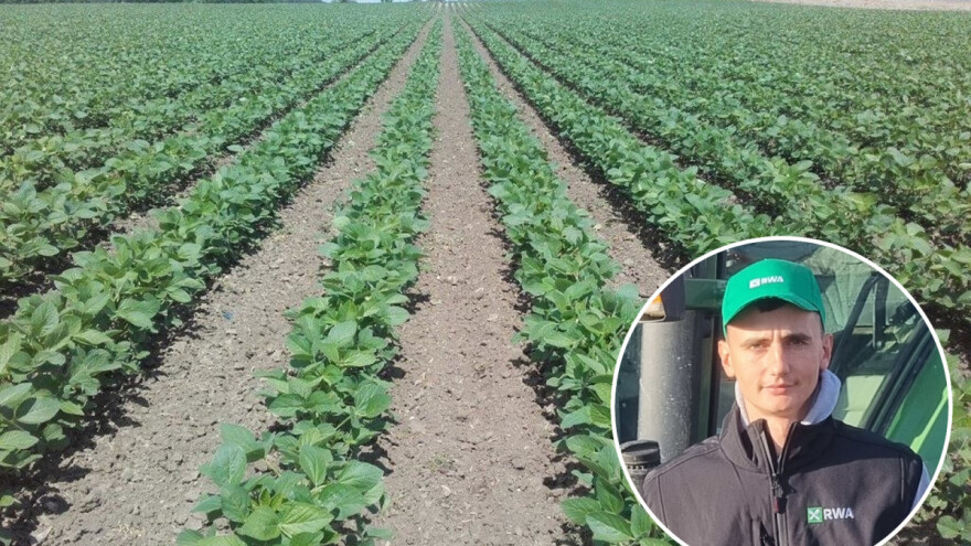 Pokusi soje: Kod Marka Botića najveći prinos 4,69 t/ha