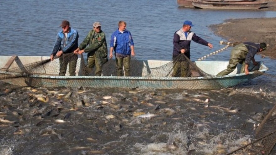 Za scraping gotovo 36 milijuna kuna