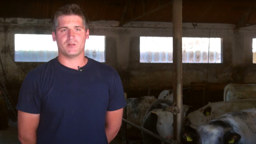 Obitelj Polak morala odustati od mliječnih krava - prešli na tov junadi