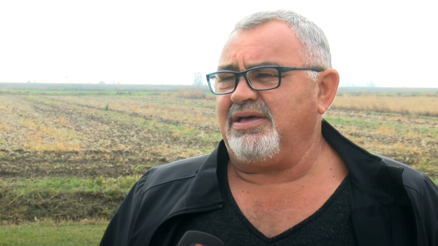 Stanko Zdravčević: Poskupljenje brašna zbog više otkupne cijene pšenice nema smisla