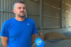 Stjepan Knežević: Očekivali smo otkupnu cijenu pšenice preko 2,5 kn za kilogram