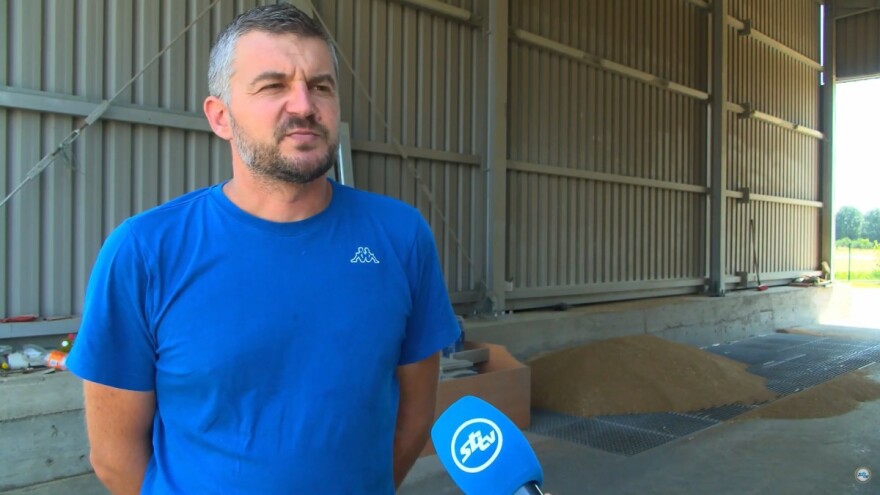 Stjepan Knežević: Očekivali smo otkupnu cijenu pšenice preko 2,5 kn za kilogram