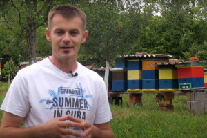 Tomislav Baričević: Da su ljudi kao pčele svijet bi bio savršen