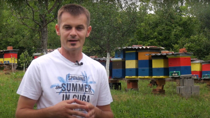 Tomislav Baričević: Da su ljudi kao pčele svijet bi bio savršen