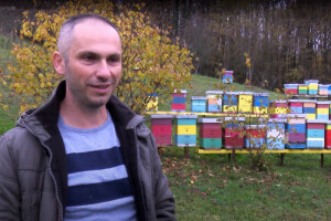 Krešimir Lesan: Toplo vrijeme utjecalo je na rezervnu hranu u košnicama