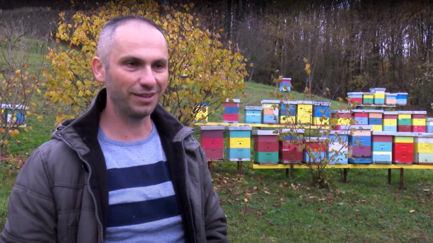 Krešimir Lesan: Toplo vrijeme utjecalo je na rezervnu hranu u košnicama