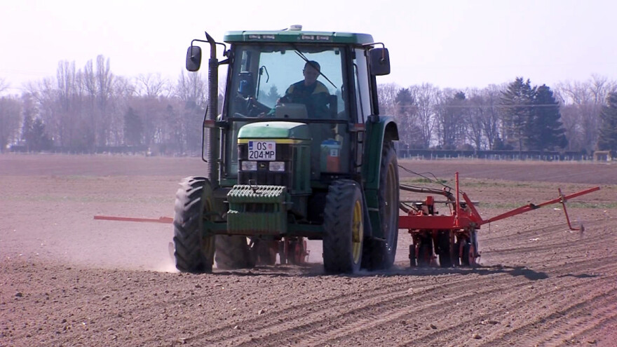 Šećerna repa gubi bitku - ugroženija i od mljekarstva?