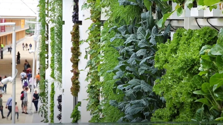 Nakon prošlogodišnje odgode, Dubai Expo na jesen otvara vrata