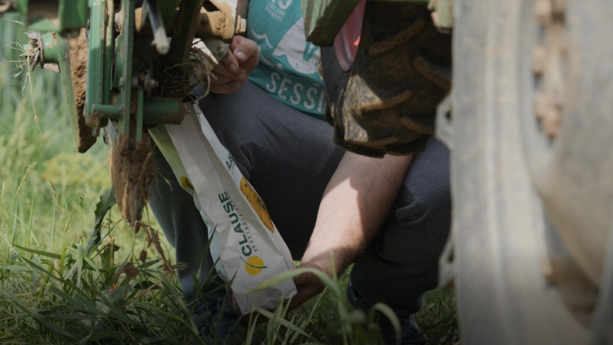 Radi ono u čemu si najbolji ili kako sam napravio greške u svim fazama uzgoja šećerca?