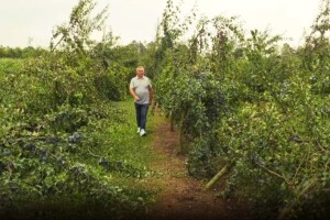 Posavina: saniraju se štete od nevremena