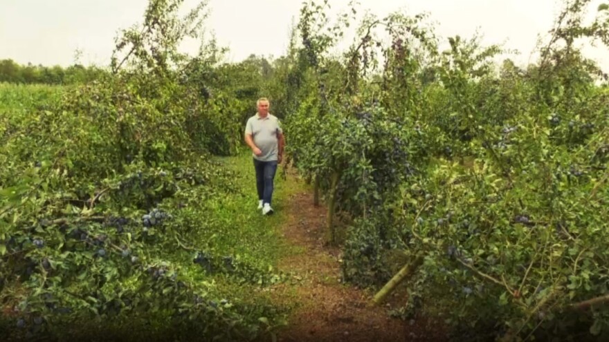 Posavina: saniraju se štete od nevremena